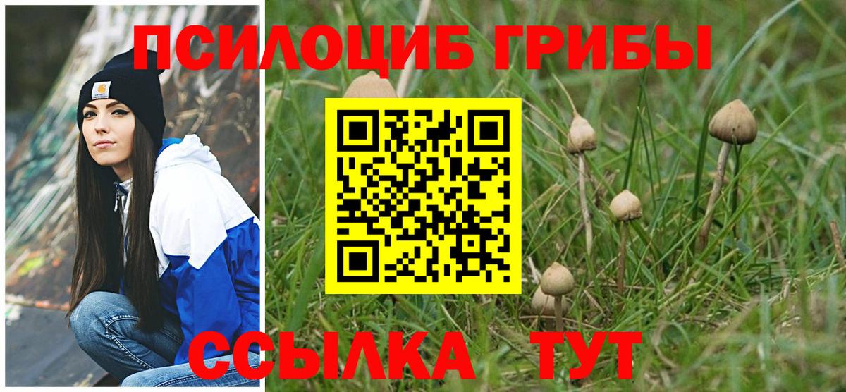 Донской  Галлюциногенные грибы мухоморы  Вход с VPN 